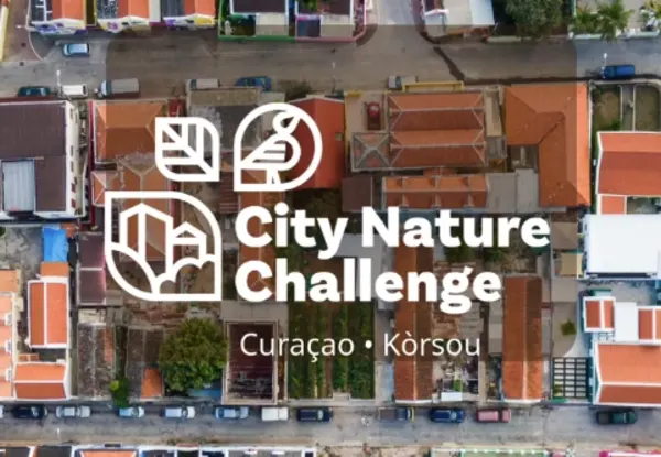city nature challenge kick off