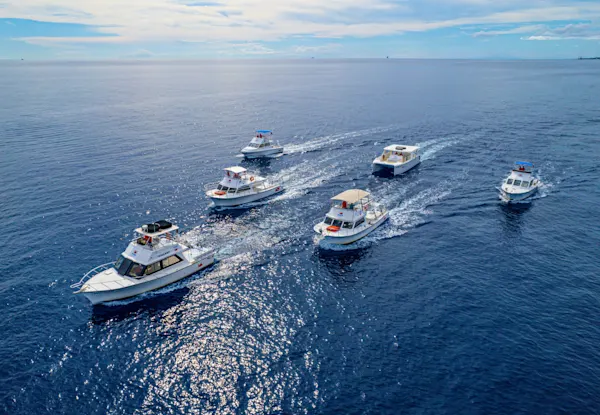 Ocean encounters (2)