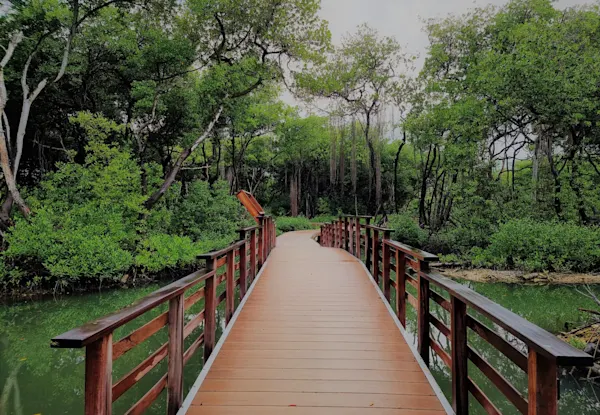 Curaçao Rif Mangrove Park