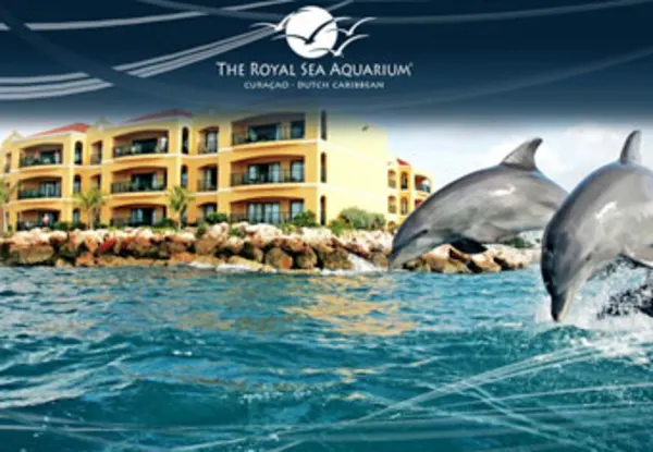 CC Royal Resort Seaquarium