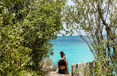 Peace in curacao