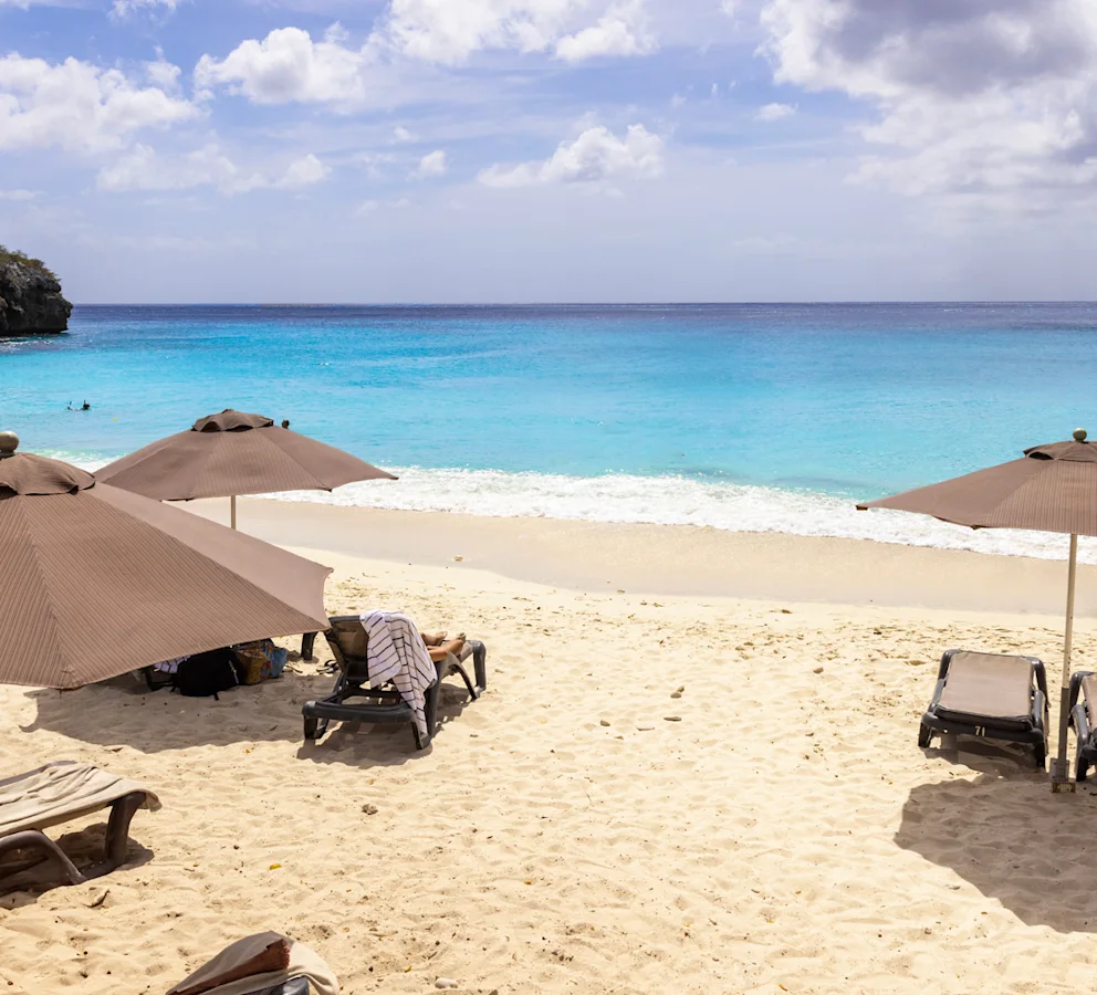 Beach with brown parasols