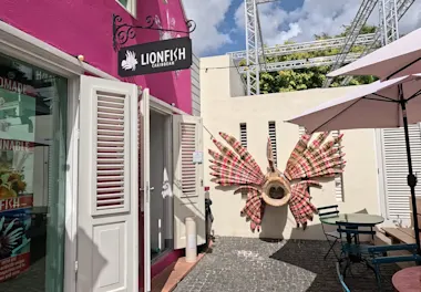 Lionfish Caribbean Curacao (1)