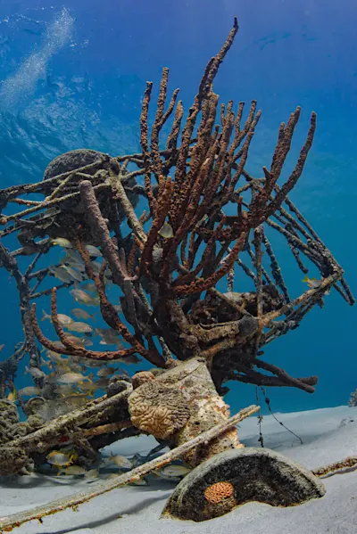 Diving in Curacao