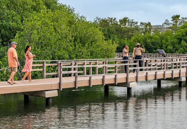 Curaçao Rif Mangrove Park