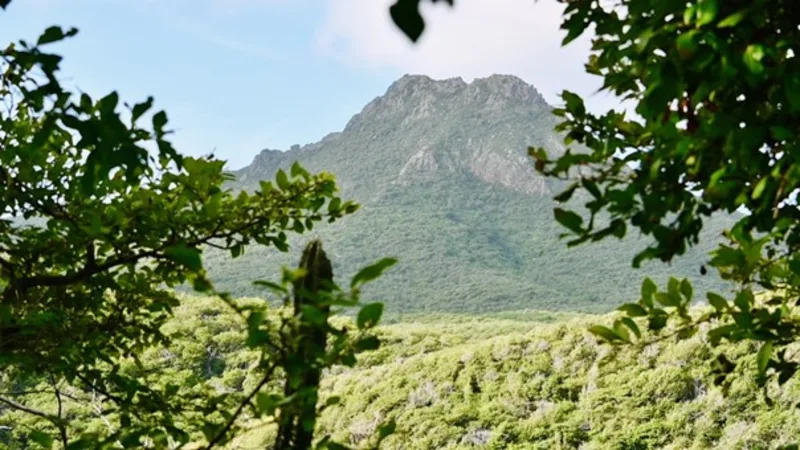 Christoffel berg
