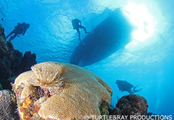 CC Seldom Reef and Bullenbaai