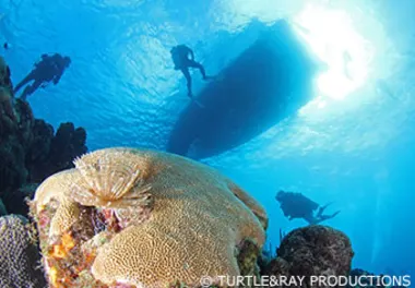 CC Seldom Reef and Bullenbaai