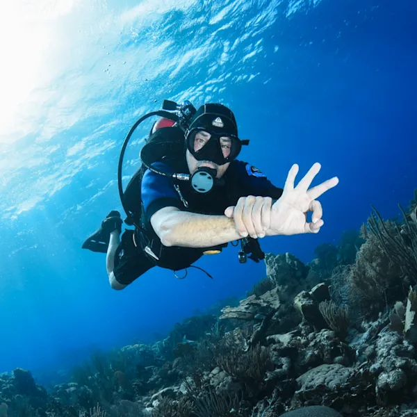 Discover the Best Shore Diving Spots in Curaçao