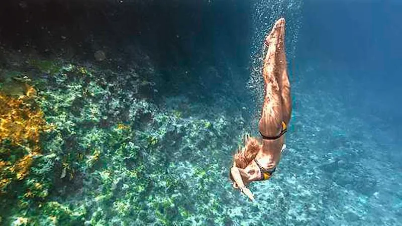 Free Diving