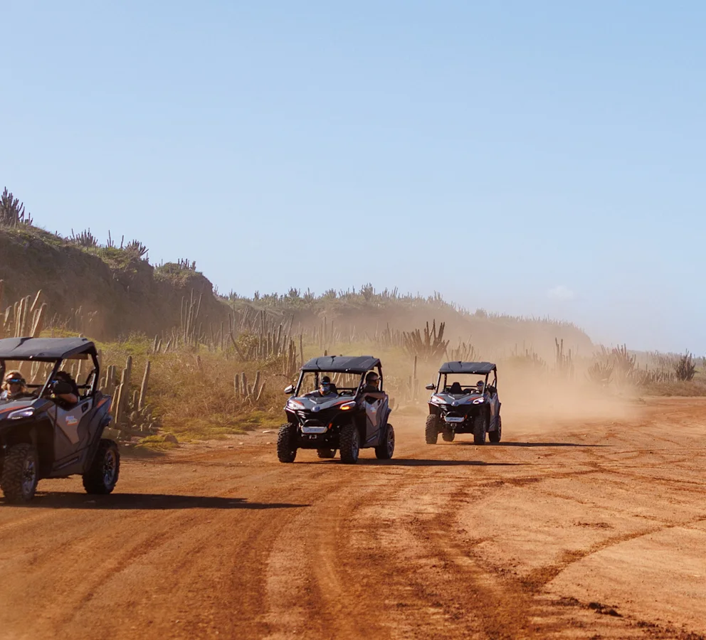 Things to Do - buggies at Hato
