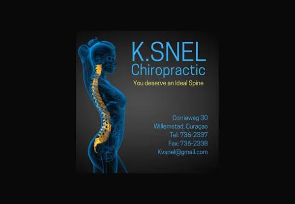 K Snel Logo