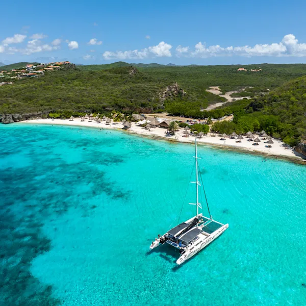 Image by BlueFinn Charters