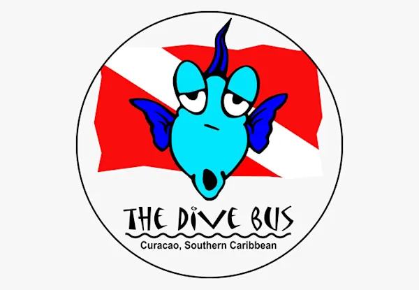 The Dive Bus
