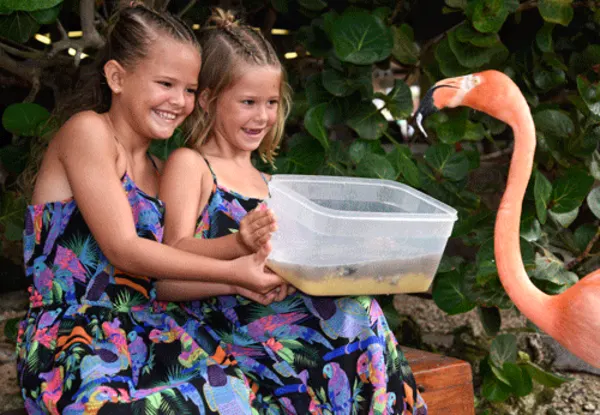 CC Curaçao Sea Aquarium