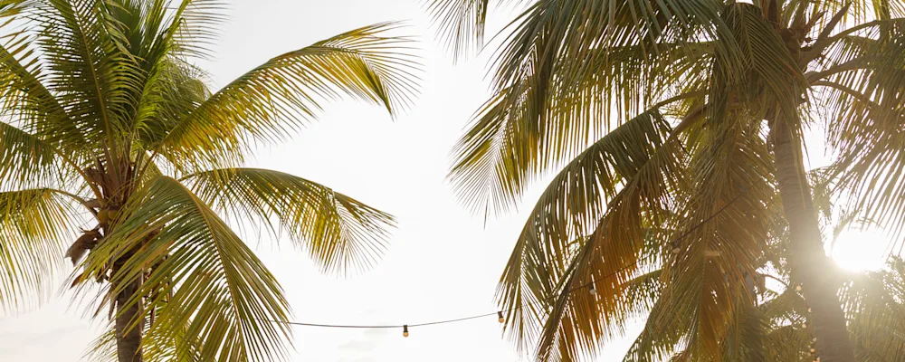 Beach Curacao Hammock