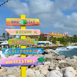 Driftwood Sign