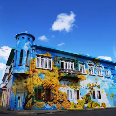 Mural paint
