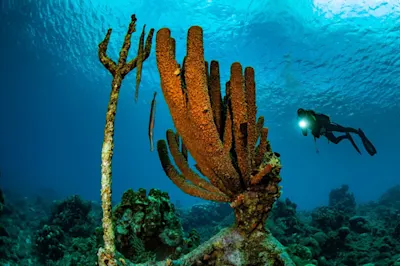 King Neptune at Playa Piskadó - Image by Frank Do for Dive Curaçao