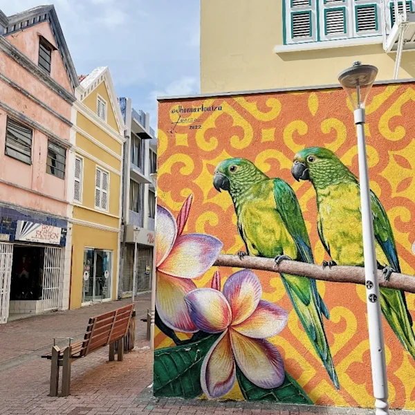 Curacao in 1 dag - 1