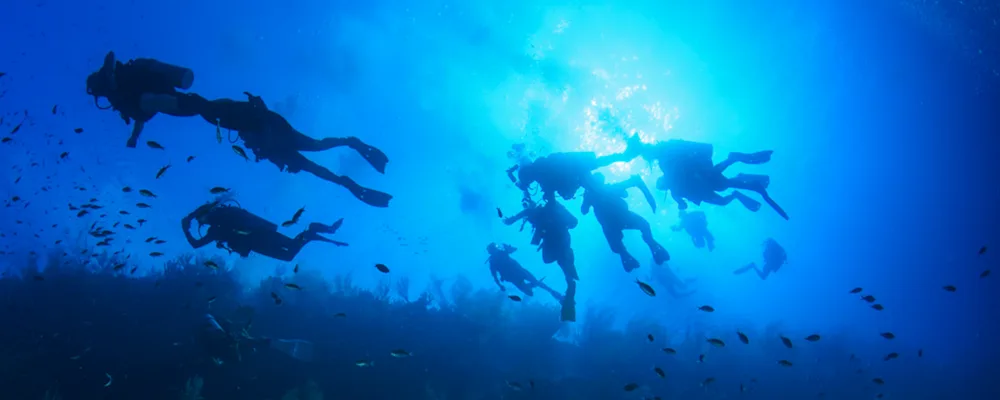 Divers with sun behind