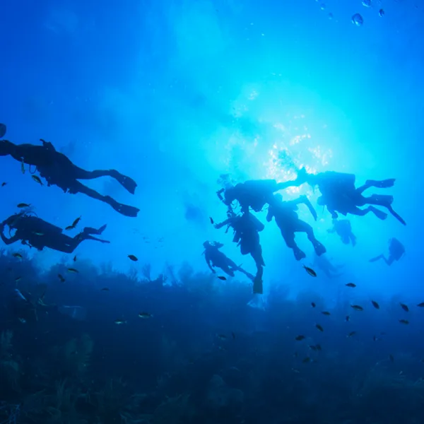 Divers with sun behind