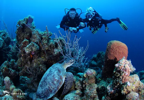 Scubaçao Diving Adventures