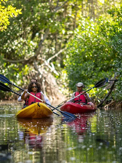 Kayak Curacao