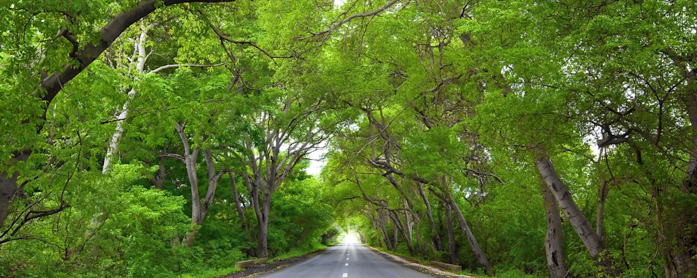Natural Tunnel
