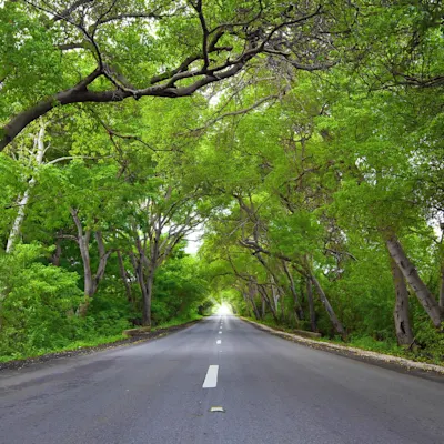 Natural Tunnel