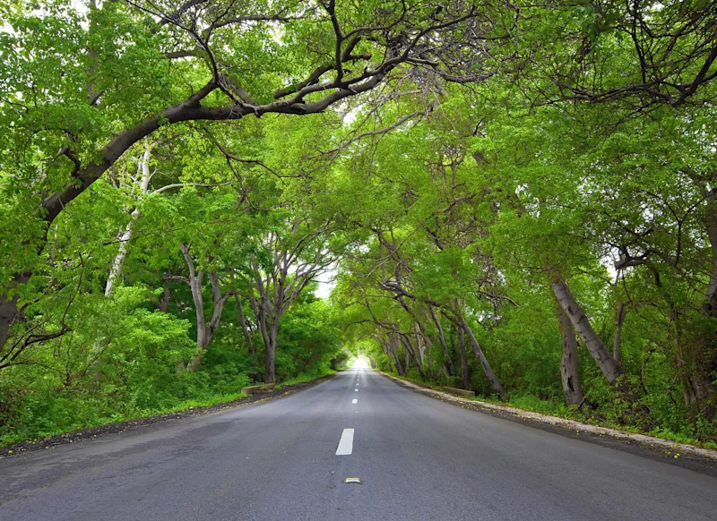 Natural Tunnel