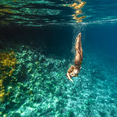Snorkeling Curacao