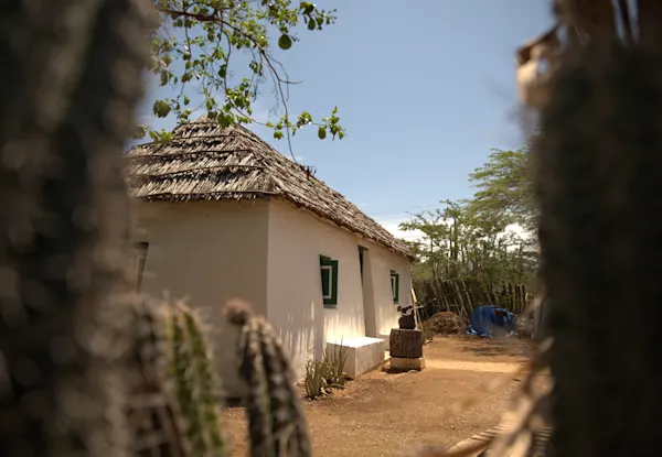 Kas di Pali maishi (1)