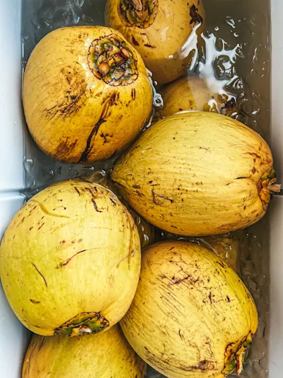 Coco Friu (re Cold Coconut) - Awa Di Coco (re Coconut Water)