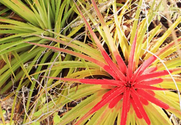 CC Sand and Stilettos