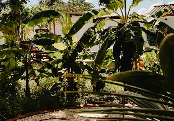 Nathalie Merylin - Garden of growth