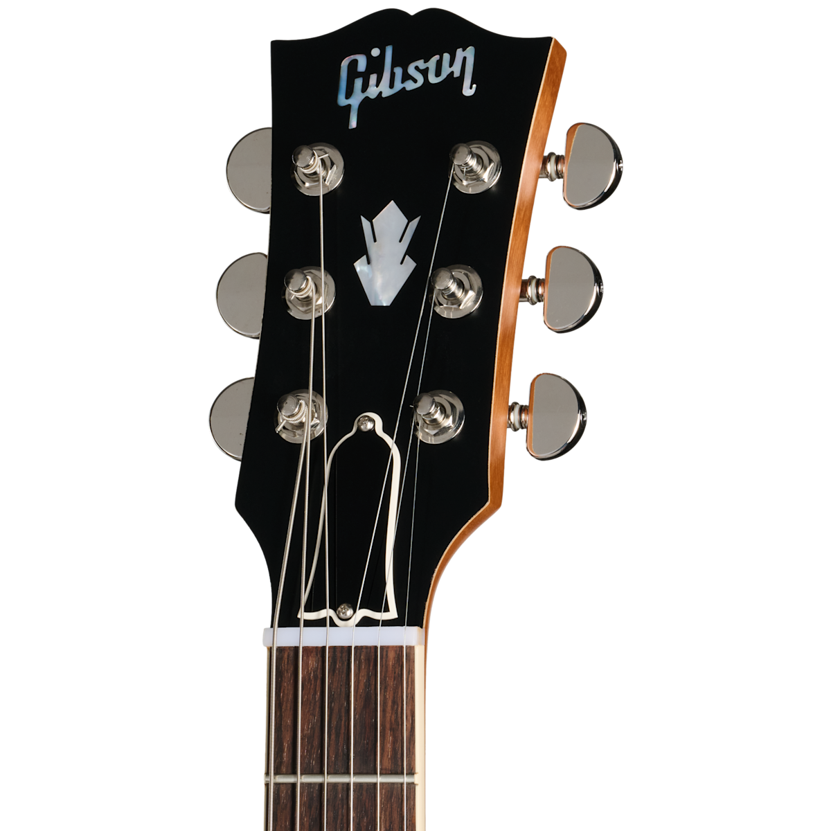 RAM026256 140428 8lbs11oz 3 Headstock