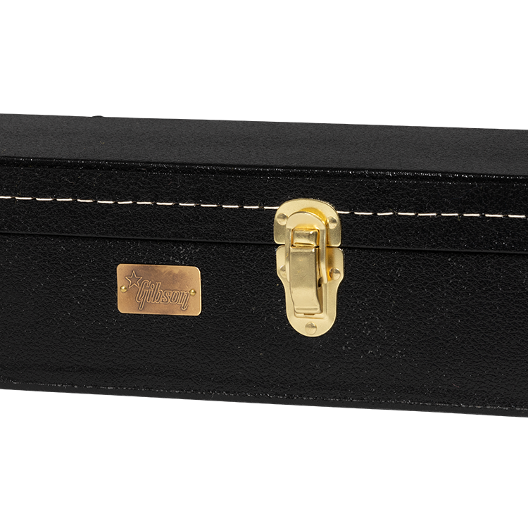 ASLFTCASE-PB-SG latch