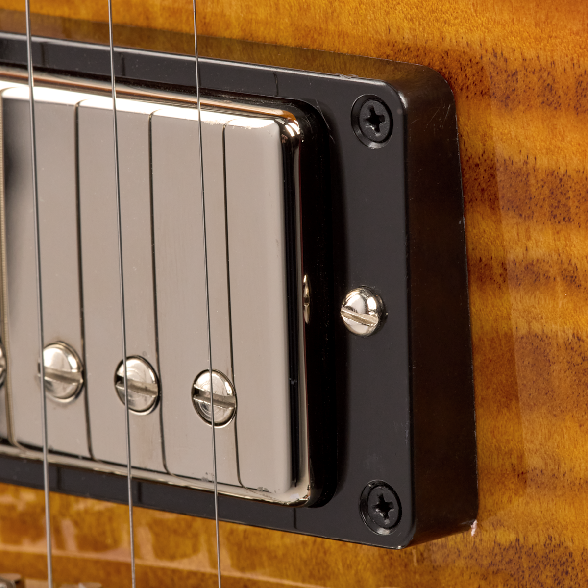 RAM025963 DS0288 7lbs15 Pickups2