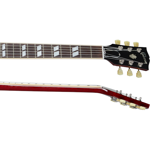 neck-side-500_500.png