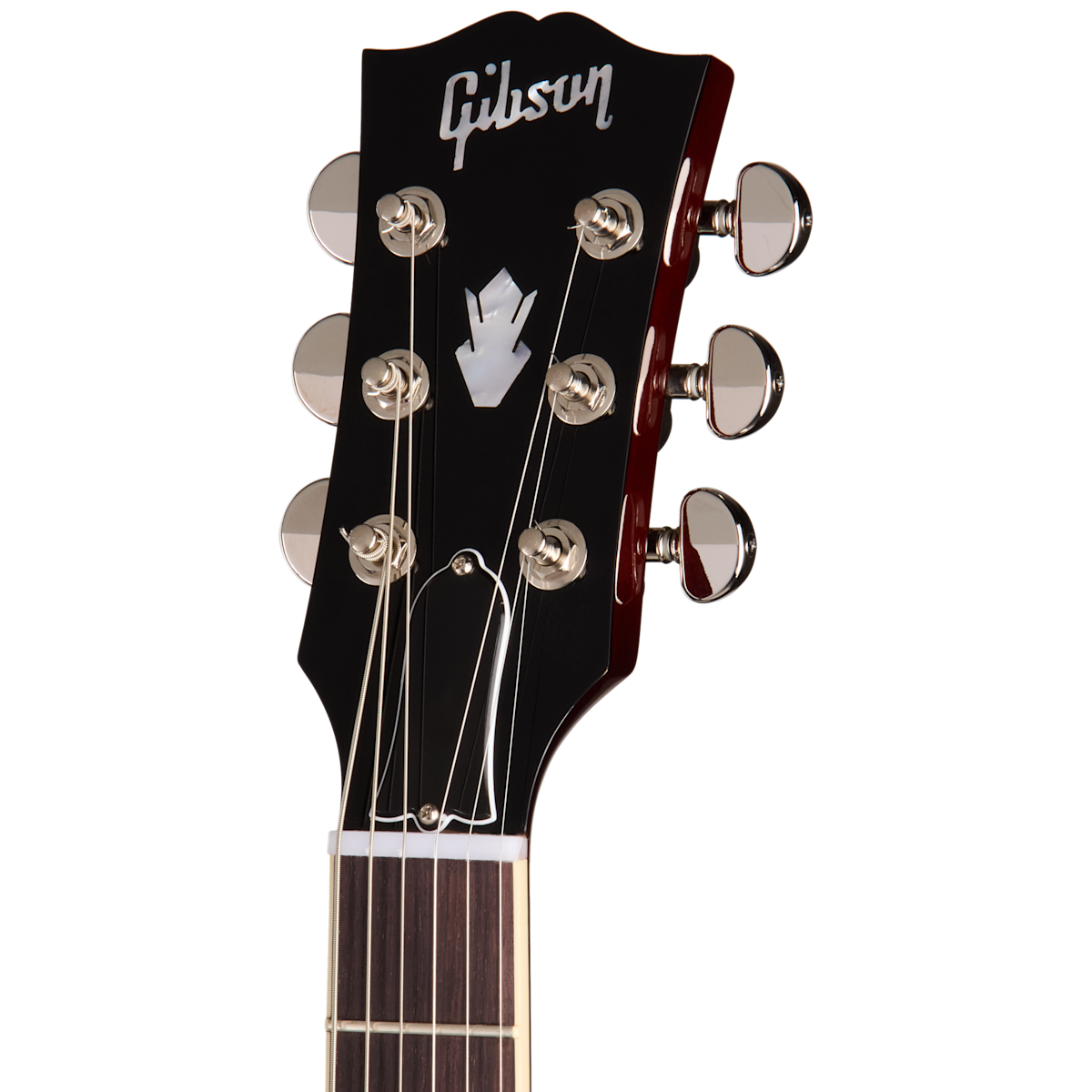 RAM025988 140474 8lbs2oz 3 Headstock