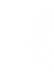 bubble