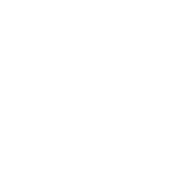 Soapy Bubble