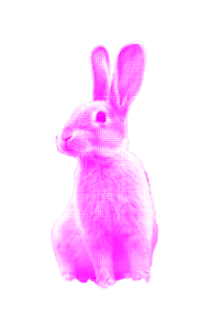 Bunny