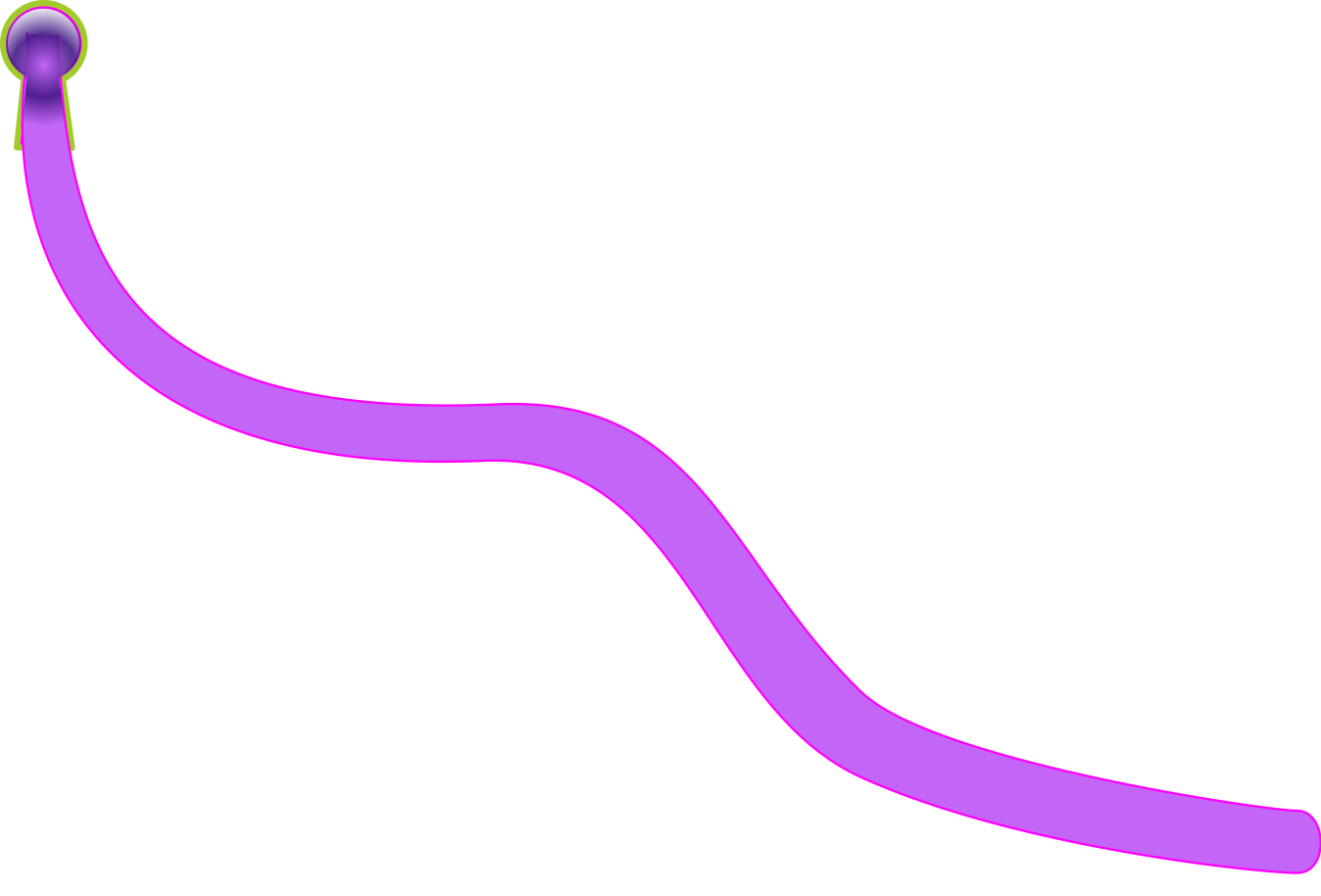 path