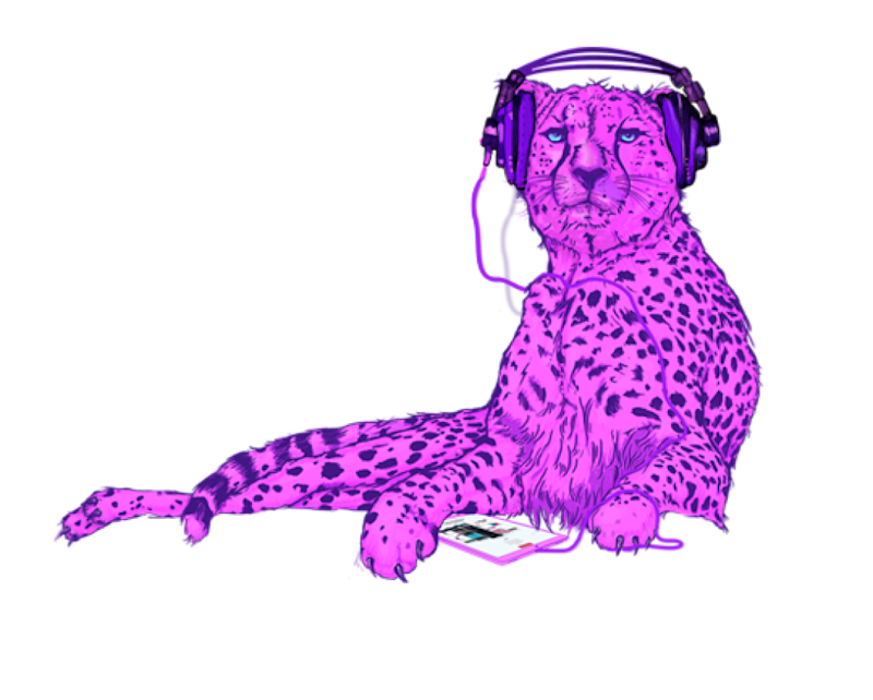 full body cheetah