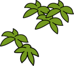trees 2