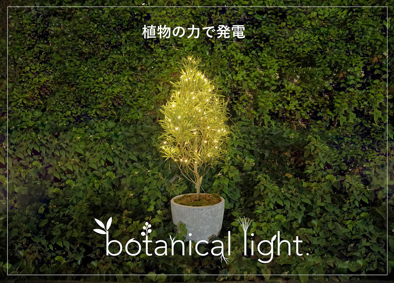 botanical light（ボタニカルライト）