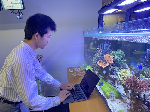 「環境移送技術」でサンゴ礁の完全再現を目指す、エンジニア募集
