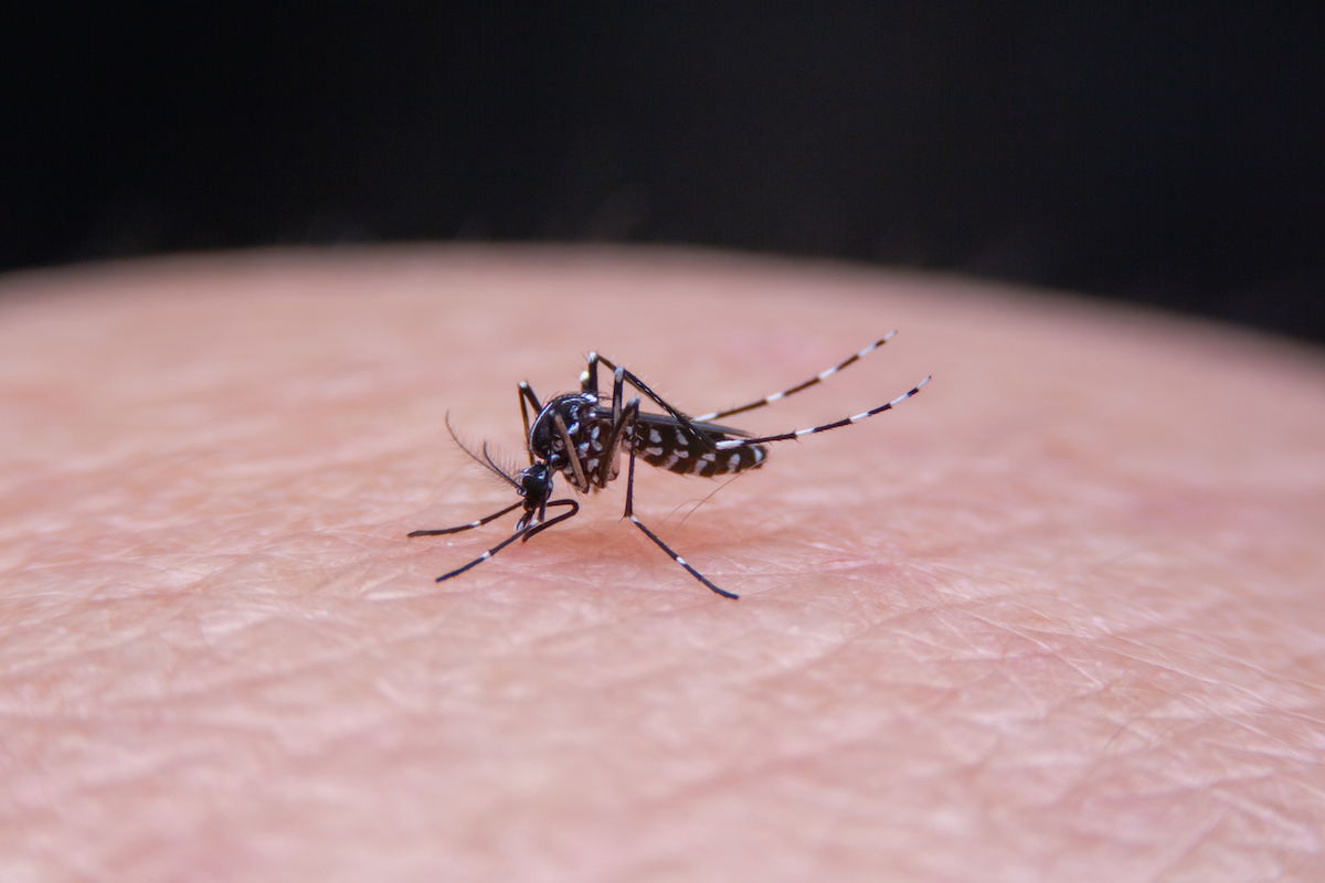 感染症リスクを下げる、蚊が逃げ出す肌